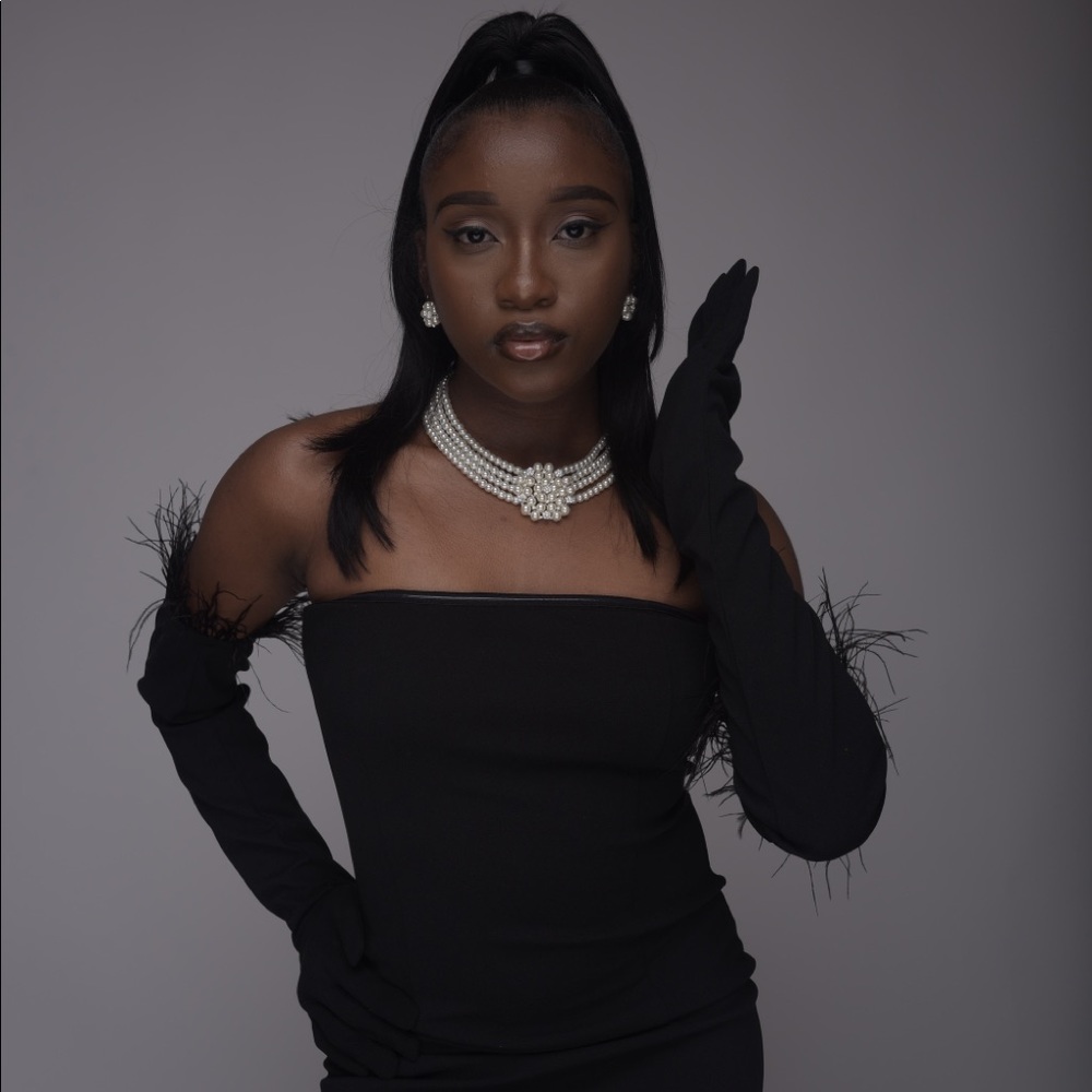 breakfast at tiffany’s / great gatsby costume